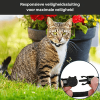 Kat Halsband met GPS Tracking en Reflectie, Verstelbaar