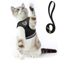 Purr Leash Kattenharnas | Houdt je huisdier zichtbaar en veilig tijdens avondwandelingen.