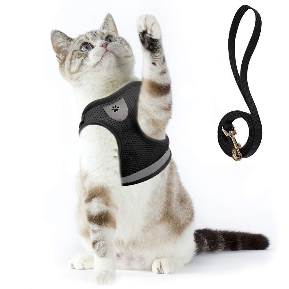 Purr Leash Kattenharnas | Houdt je huisdier zichtbaar en veilig tijdens avondwandelingen.