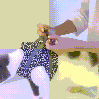 KittyComfort | Set van ontsnappingsbestendige harnassen voor katten