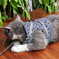 KittyComfort | Set van ontsnappingsbestendige harnassen voor katten