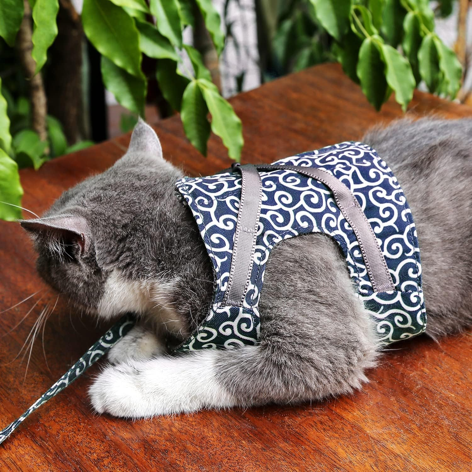 KittyComfort | Set van ontsnappingsbestendige harnassen voor katten