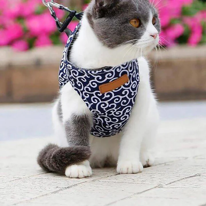 KittyComfort | Set van ontsnappingsbestendige harnassen voor katten