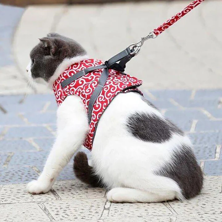 KittyComfort | Set van ontsnappingsbestendige harnassen voor katten