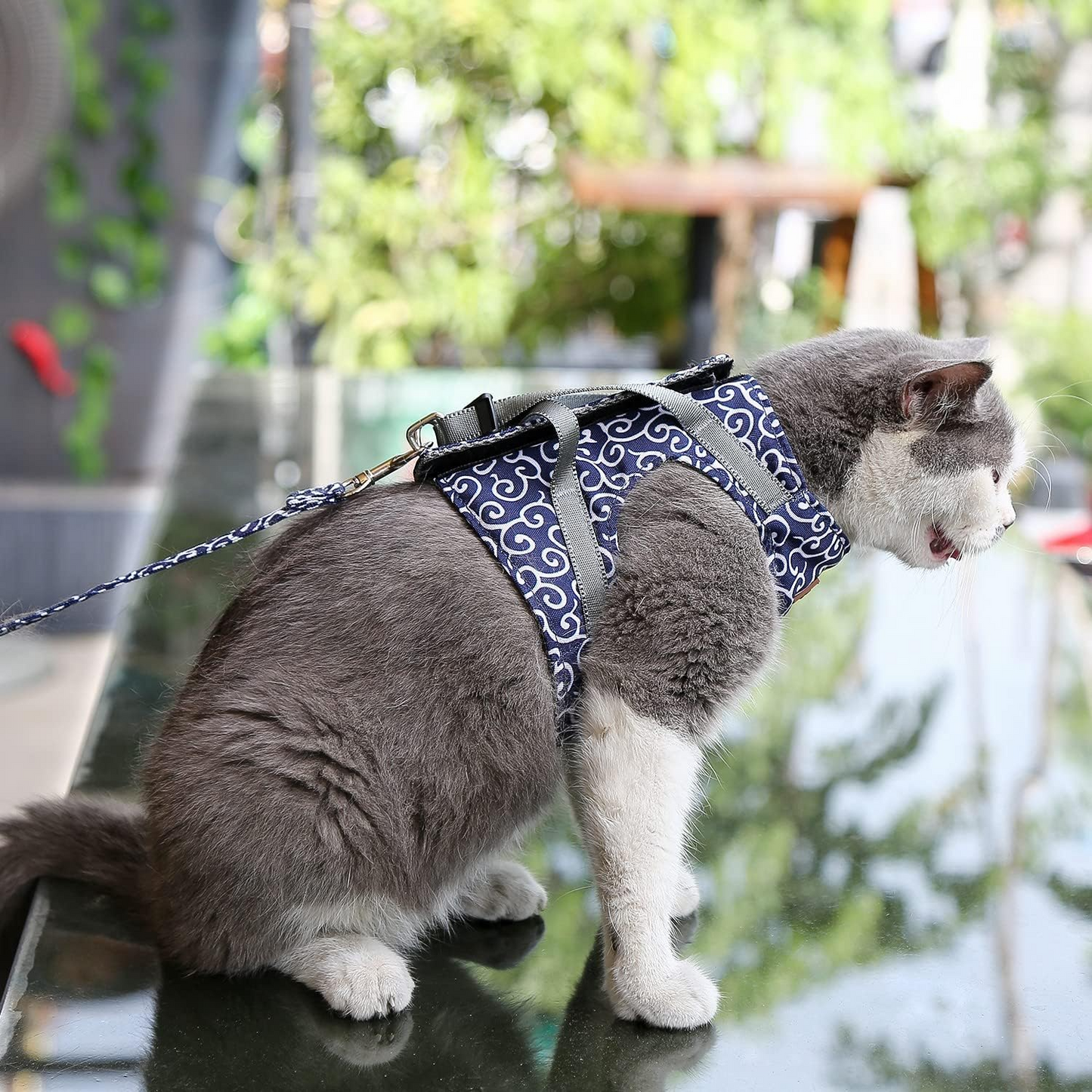 KittyComfort | Set van ontsnappingsbestendige harnassen voor katten
