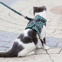 KittyComfort | Set van ontsnappingsbestendige harnassen voor katten