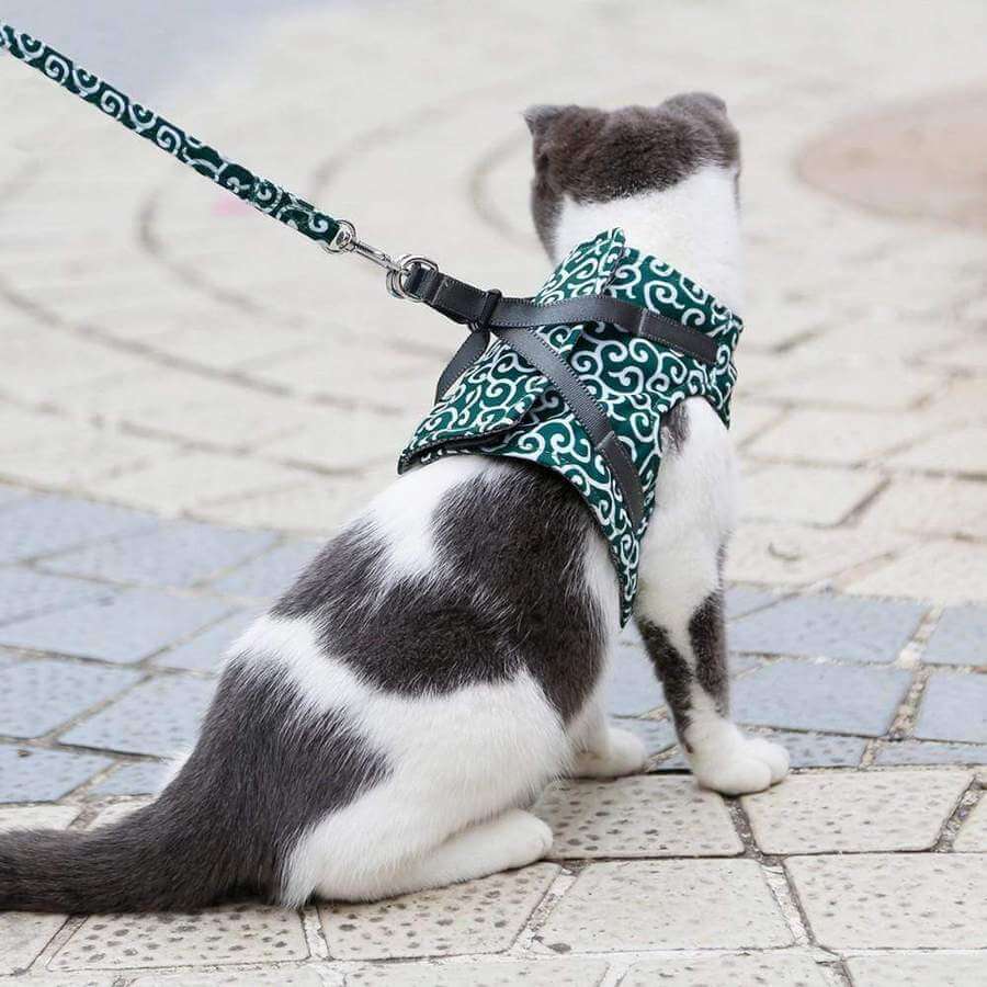 KittyComfort | Set van ontsnappingsbestendige harnassen voor katten
