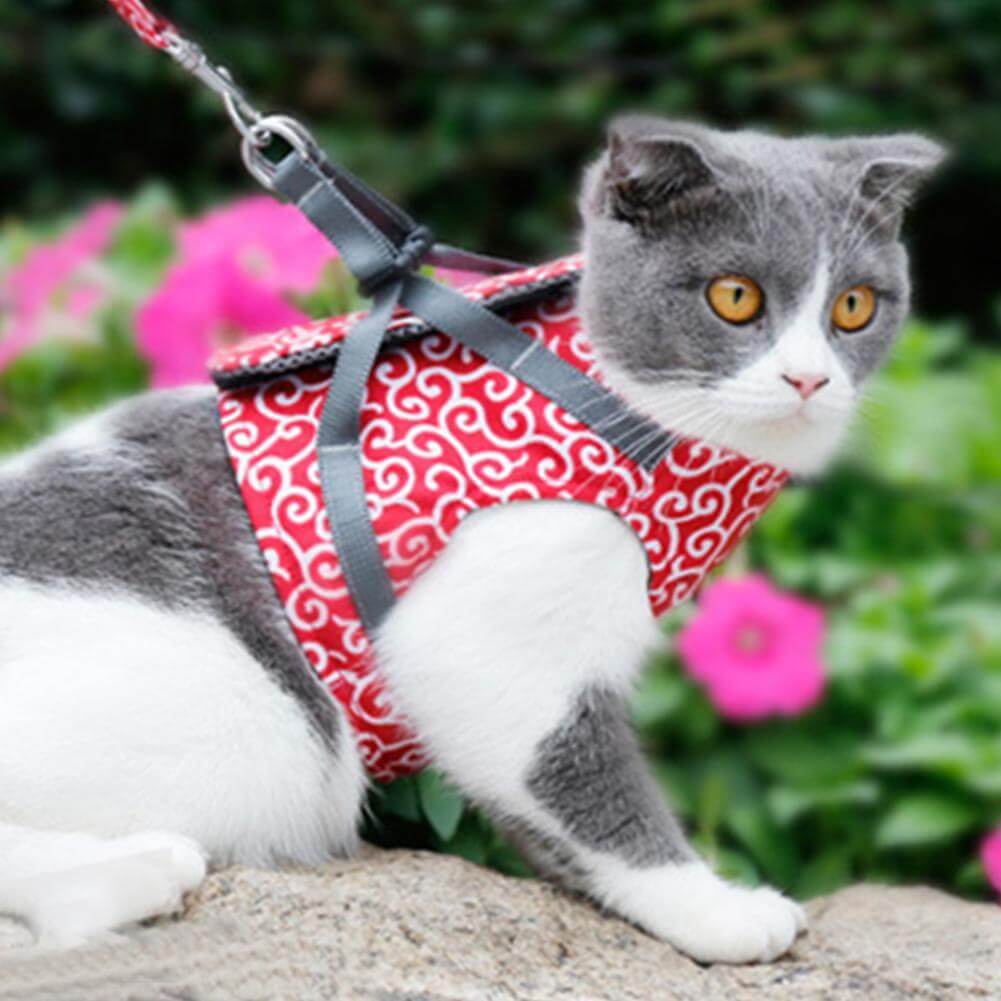 KittyComfort | Set van ontsnappingsbestendige harnassen voor katten