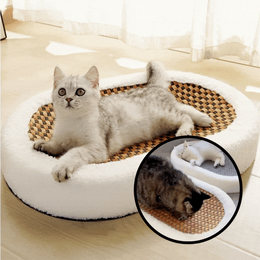 Kattenbed met Krabplank | Stijlvol Krabmeubel | KratziCouch