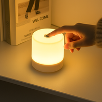 tactiele USB nachtlamp met dimbare intensiteit voor lezen en nachtlamp