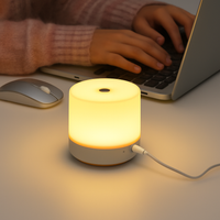 tactiele USB nachtlamp met dimbare intensiteit voor lezen en nachtlamp