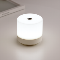 tactiele USB nachtlamp met dimbare intensiteit voor lezen en nachtlamp