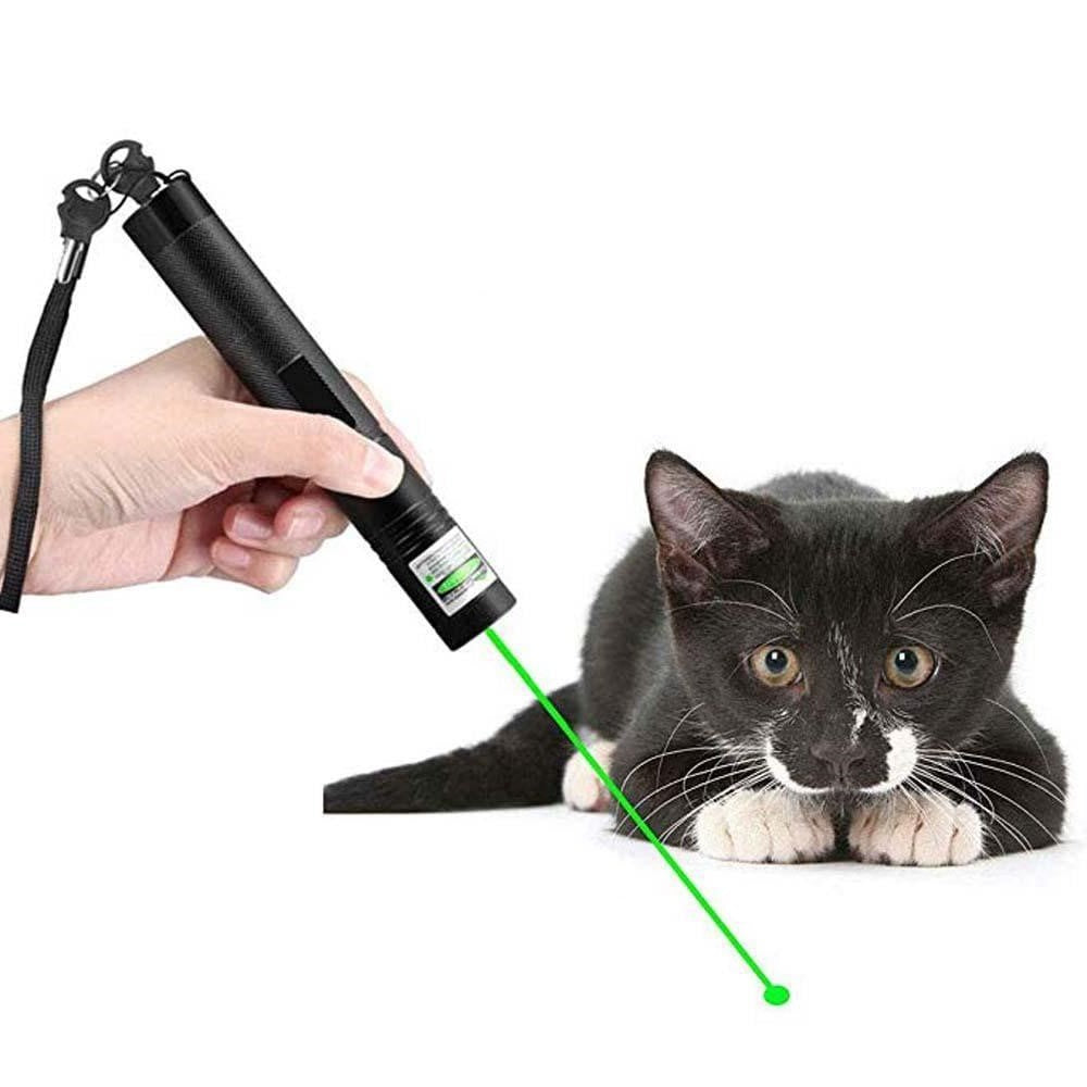 Laserpointer met precisiestraal | Zeer goed zichtbaar, zelfs op grote afstanden, perfect voor nauwkeurigheid bij presentaties en buitenactiviteiten.