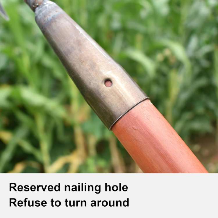 Rastrello in Staal LawnLiberator