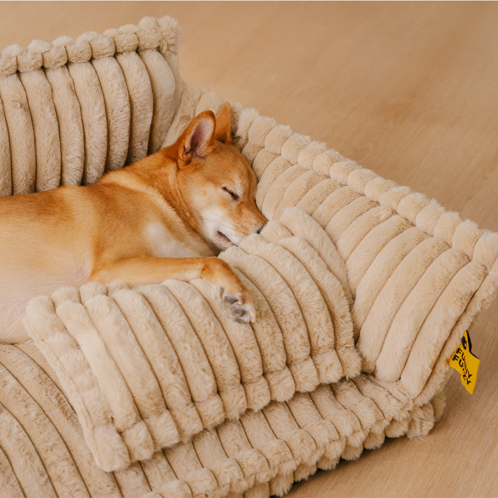 Hondbed in Orthopedisch Ontwerp - Ultieme Steun en Comfort