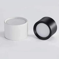 Emberlynn Opbouw Downlight