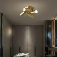 Goudsbloem Spotlight