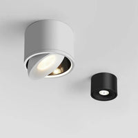 Paulina Opbouw Downlight
