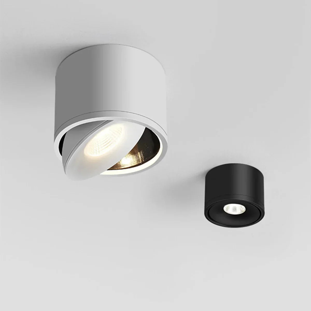 Paulina Opbouw Downlight