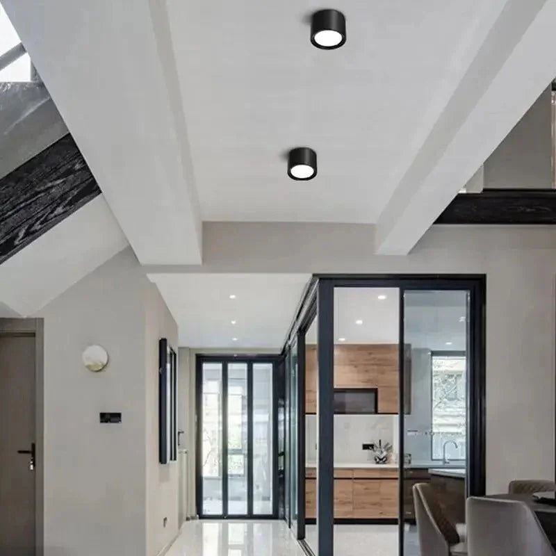 Emberlynn Opbouw Downlight