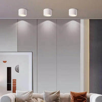 Emberlynn Opbouw Downlight