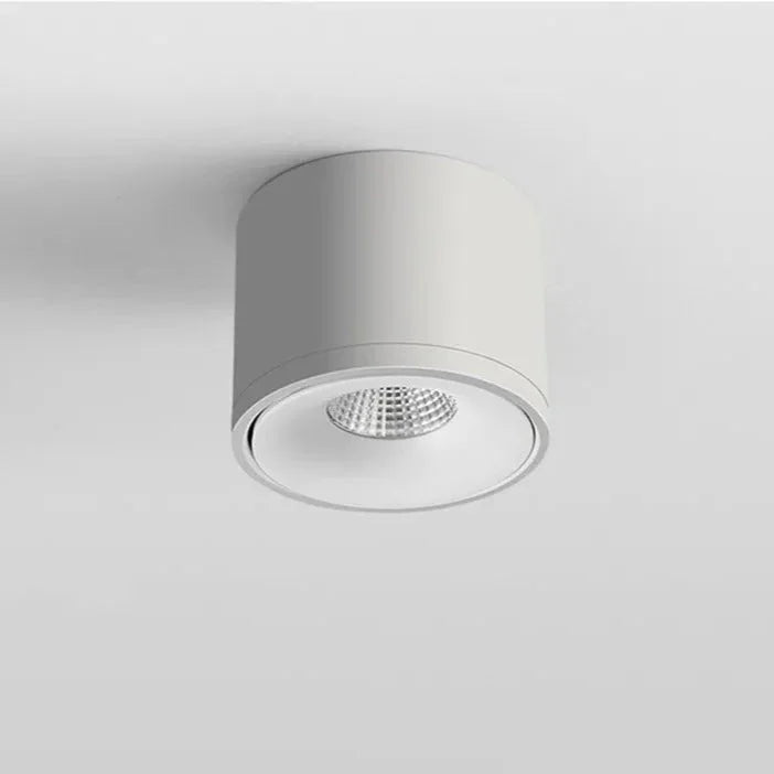 Paulina Opbouw Downlight