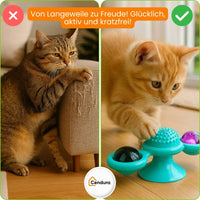 Katten speelgoed | Interactief katten speelgoed met kattenkruid | MiauwSpel