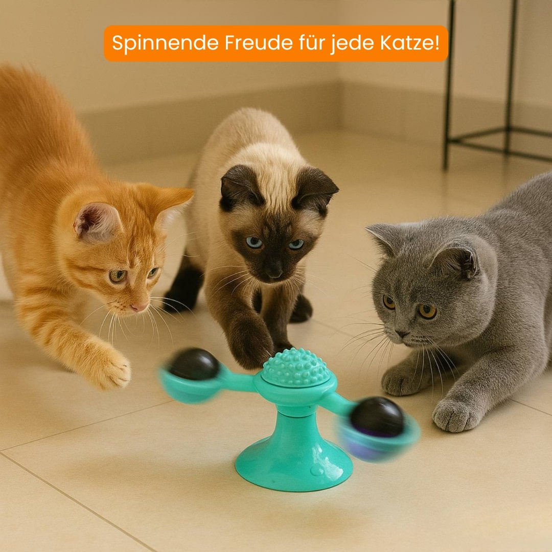 Katten speelgoed | Interactief katten speelgoed met kattenkruid | MiauwSpel