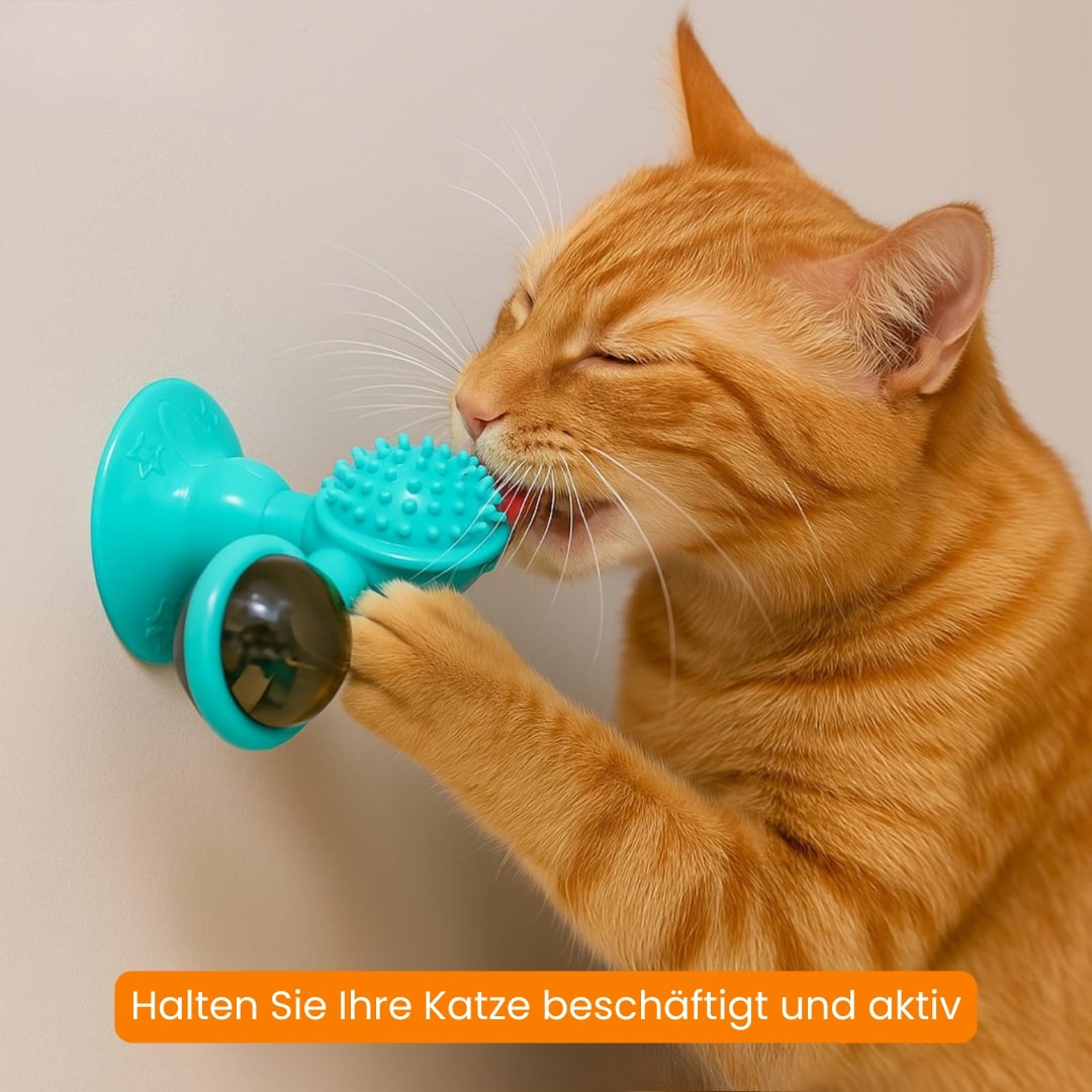 Katten speelgoed | Interactief katten speelgoed met kattenkruid | MiauwSpel