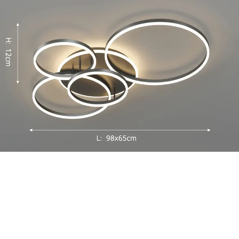 Velia - Moderne Zwarte Plafondlamp