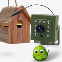 NestCam | WLAN-camera – 1080p HD & Weerbestendig voor perfecte vogelobservatie