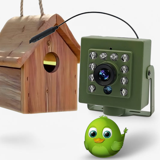 NestCam | WLAN-camera – 1080p HD & Weerbestendig voor perfecte vogelobservatie