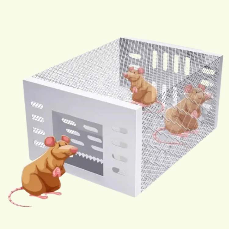 Rattenval van RVS NoEscape