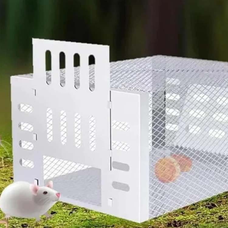 Rattenval van RVS NoEscape