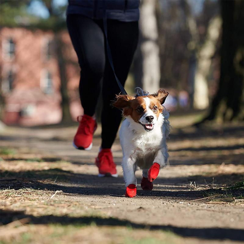 PootShield Waterdichte Hondenschoenen met Grip en Beschermend Comfort