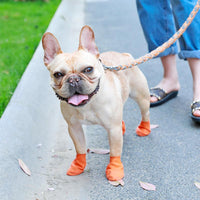 PootShield Waterdichte Hondenschoenen met Grip en Beschermend Comfort