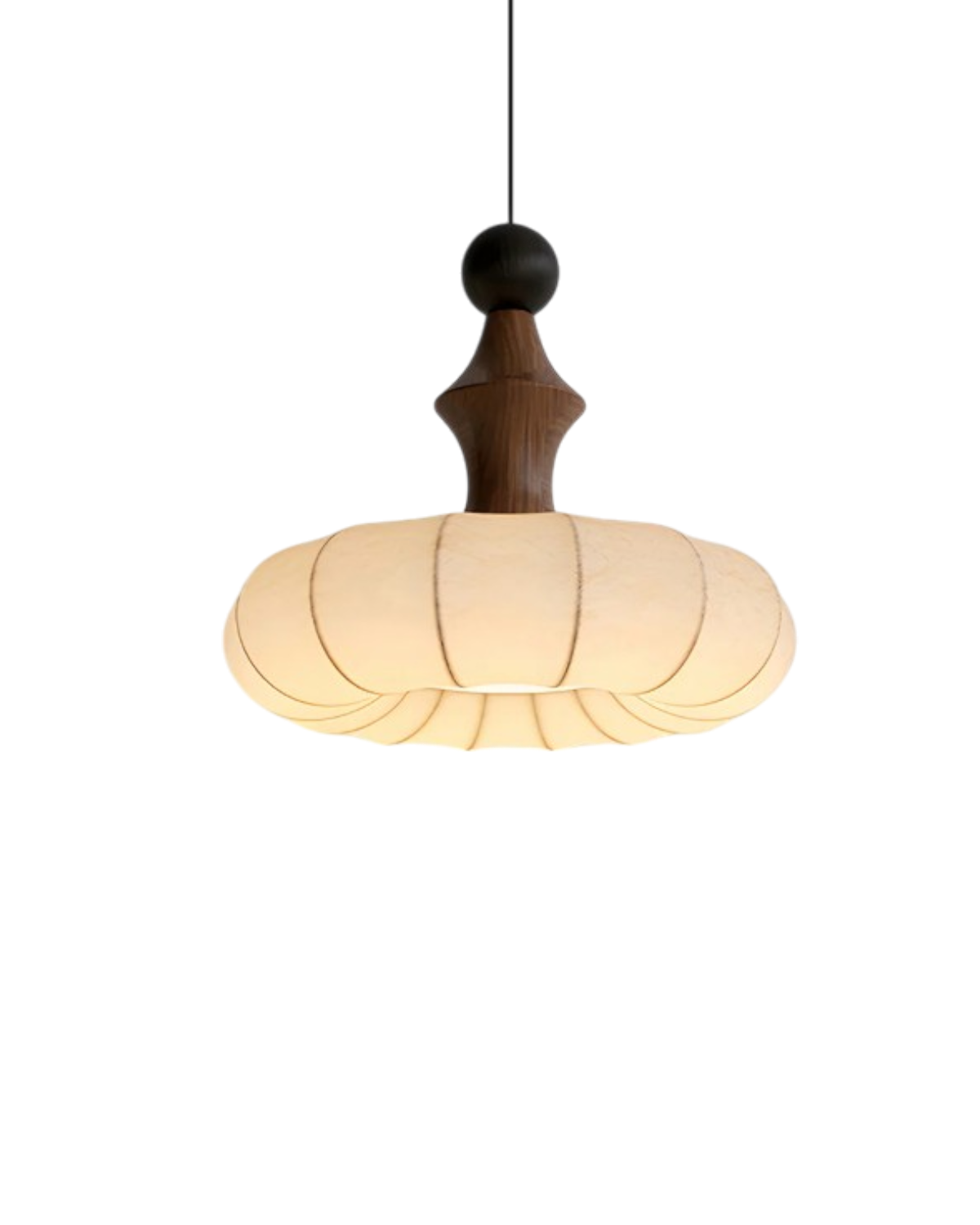 De Zijde Licht