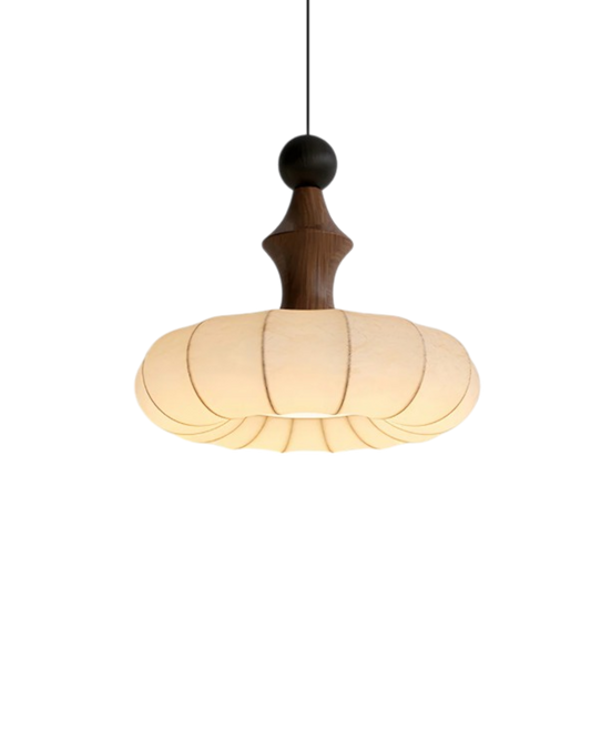 De Zijde Licht