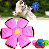 Pawsome - Magische vliegende schotel bal (1+1 Gratis)