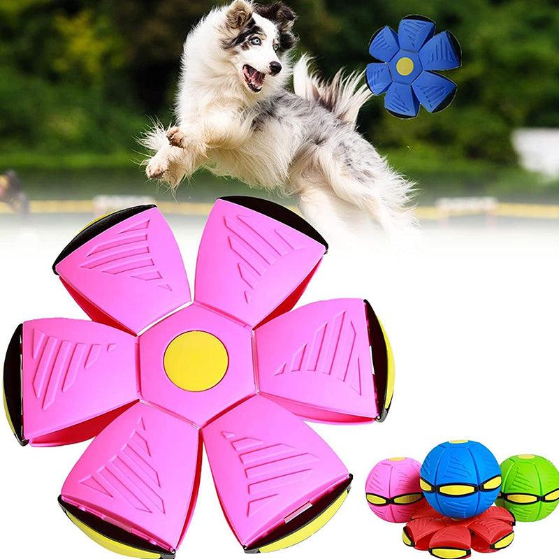 Pawsome - Magische vliegende schotel bal (1+1 Gratis)