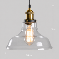 Getint glazen hanglamp met messing fitting
