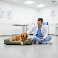 PetLounge | Huisdierbed – Ergonomisch Ontwerp voor een Gezonde Slaap
