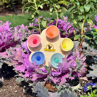 PollinatorCups | Elk kopje water wordt een bron van leven voor bijen en vlinders