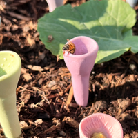 PollinatorCups | Elk kopje water wordt een bron van leven voor bijen en vlinders