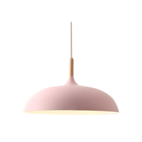 Noordse Stijl Houten IJzeren Kunst Hanglamp