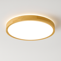 LED-houten plafondlamp (verschillende vormen)