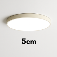 Ronde en platte LED plafondlamp (meerdere maten)
