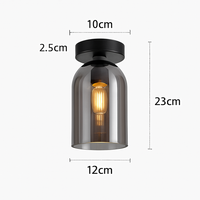 Moderne LED Glazen Plafondlamp
