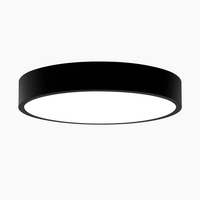 Eenvoudige ronde LED-plafondlamp
