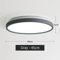 Moderne LED metalen plafondlamp cirkelvormig en slank Glenn